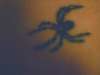 spidy tattoo