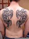 Wingy! tattoo