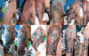 Progress... tattoo