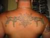 pitbulls tattoo