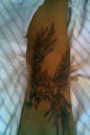 Phoenix tattoo