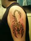 Scorpion tattoo