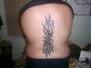 Tribal on My back tattoo