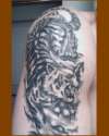 eye of the tiger tattoo