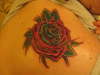 ROSE COVER-UP tattoo