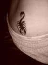 Scorpio tattoo