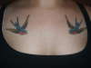Sparrows tattoo