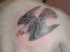 Eagle tattoo