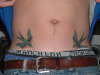 birds tattoo