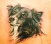 dog tribute, england 2005 tattoo