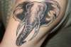 elephant tattoo