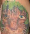 My Five Cats tattoo