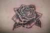 ROSE tattoo
