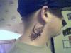 Dragon Fly tattoo