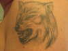 Wolf tattoo