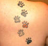 Paws tattoo