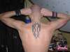 ryggtribal1 tattoo