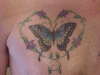 butterfly1 tattoo