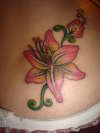 pink lily tattoo