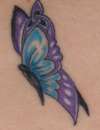 Triquetra Butterfly tattoo