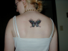 Butterfly tattoo