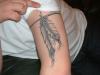 Dave's tattoo