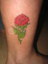 a rose by another name .......... tattoo