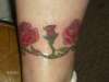 roses tattoo