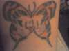 tiger butterfly tattoo