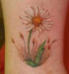 Daisy tattoo
