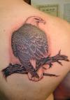 An Eagle tattoo