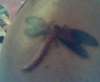 my 2 tattoo on my top/right arm