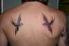 swallows tattoo
