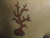 Coral tattoo