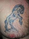 Western Star Horse tattoo