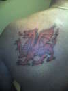 welsh dragon baz tattoo