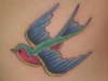 blue swallow tattoo
