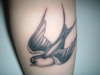 Swallow tattoo