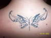 Tribal Butterfly tattoo