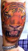 tigers head 21st century tattoo shop tattoo