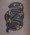 Celtic snake tattoo
