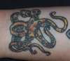 Octopus coverup tattoo