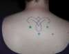 my stars tattoo