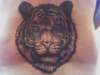 tigers head tattoo