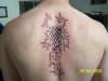 CelticTribal ? tattoo