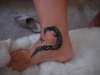 Tribal Foot tattoo
