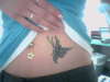 my belly :) tattoo