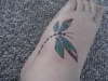 my first dragonfly tattoo