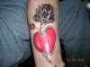 Dying rose. tattoo