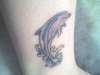 Dolphin tattoo